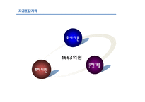 [국제마케팅]EC 종합 뷰티 샵 중국진출 마케팅 전략-17