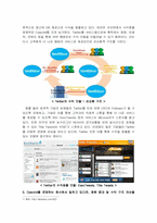 [인터넷과미래사회]Twitter(트위터) & Cyworld(싸이월드) 비교분석-3