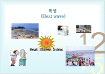 기후변화 전망과 이에 대비한 건강정책-12