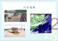 기후변화 전망과 이에 대비한 건강정책-19