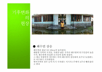 [자연과환경]지구온난화와 기후협약-8