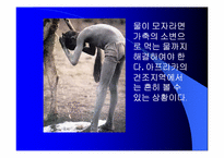 [환경오염] 물 부족에 대하여-4