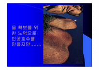 [환경오염] 물 부족에 대하여-14