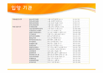 [현대사회가정]입양가정 조사 및 입양 활성화 방안-12