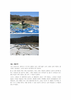 [답사보고서]쇠락한 꿈의 불국토(佛國土), 고달사지-10