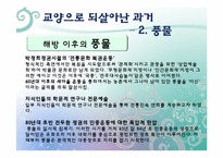 [역사교육]조선 후기의 문화가 교양과 교육으로-판소리, 풍물, 탈춤-17