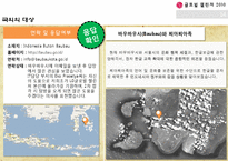 한글 나눔사업의 문제점 해결 및 개선방안 모색-13