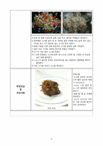 [식품가공학]쌀을 이용한 신제품 개발 아이디어-11