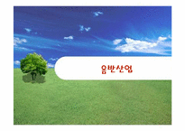 [대중음악]국내 음반산업의 문제점과 발전방향-1