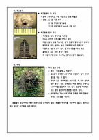 [건축공학]동물을 통해 배우는 친환경 건축술-인간이 나아가야 할 건축 방향-6