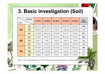 [생태공학]Phytoremediation을 이용한 제2연화광산 주변 오염지역 토양의 생물학적 복원 설계(영문)-10