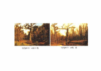 [환경공학] 지구 온난화, 오존층 파괴, 산성비-17
