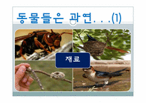 [건축공학]동물을 통해 배우는 친환경 건축술-인간이 나아가야 할 건축 방향-4