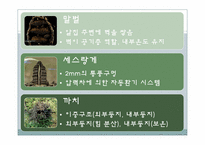 [건축공학]동물을 통해 배우는 친환경 건축술-인간이 나아가야 할 건축 방향-8