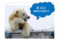 [건축공학]동물을 통해 배우는 친환경 건축술-인간이 나아가야 할 건축 방향-9