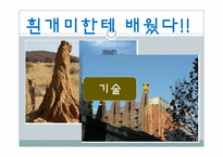 [건축공학]동물을 통해 배우는 친환경 건축술-인간이 나아가야 할 건축 방향-11
