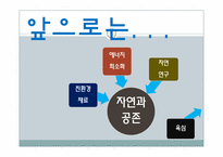 [건축공학]동물을 통해 배우는 친환경 건축술-인간이 나아가야 할 건축 방향-15