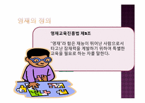 [교육사회학]우리 나라 영재교육 진단 및 발전방향-2