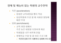 [교육사회학]우리 나라 영재교육 진단 및 발전방향-10