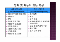 [교육사회학]우리 나라 영재교육 진단 및 발전방향-12