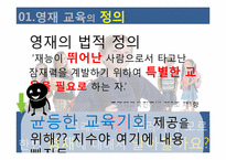 [교육사회학]우리나라 영재교육의 현황과 나아가야할 방향-3