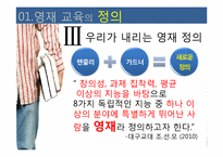 [교육사회학]우리나라 영재교육의 현황과 나아가야할 방향-8