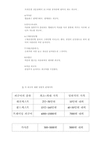 [사업계획서]피규어 판매 사업계획서-3