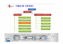 CGV 경영분석과 마케팅사례분석-5