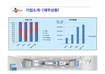 CGV 경영분석과 마케팅사례분석-8