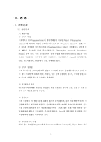[조직이론] SKC 조직분석-4