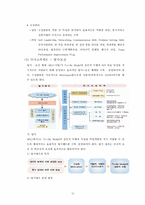 [조직이론] SKC 조직분석-13