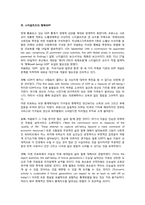 GDP의 문제점과 그 대안들 -새로운 경제지표를 중심으로-17