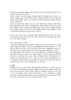 GDP의 문제점과 그 대안들 -새로운 경제지표를 중심으로-19