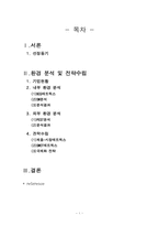 [국제경영전략](주)떡보의 하루 해외시장진출 전략-2