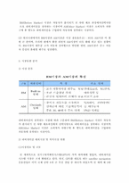 [해외시장조사론] 내비게이션 해외시장 분석-5