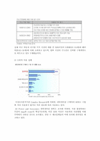 [해외시장조사론] 내비게이션 해외시장 분석-10