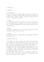 [해외시장조사론] 내비게이션 해외시장 분석-11