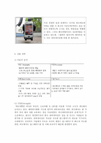 [해외시장조사론] 내비게이션 해외시장 분석-14