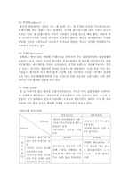 [해외시장조사론] 내비게이션 해외시장 분석-15