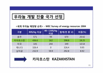 [국제경영] 한국 기업의 해외 시장 진출 전략 -한국전력공사의 카자흐스탄 우라늄 합작투자-13