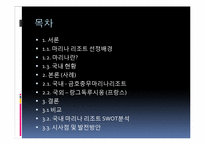 [리조트경영] 마리나 리조트 조사-2