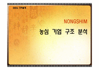 농심 기업 구조 분석-1
