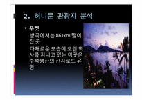 [여행사경영론] 허니문 관광의 여행 선호지역 및 여행자 성향-4