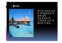 [여행사경영론] 허니문 관광의 여행 선호지역 및 여행자 성향-11