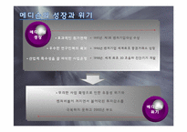 첨단기술을 보유한 벤처기업이 시장에서 실패한 사례 -(주)메디슨을 통해서 본 실패사례와 극복-6