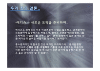 첨단기술을 보유한 벤처기업이 시장에서 실패한 사례 -(주)메디슨을 통해서 본 실패사례와 극복-14
