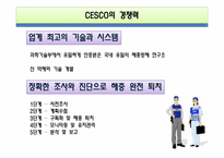 세스코 분석 레포트-12