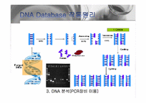 [mis] DNA Database 레포트-13