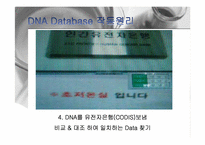 [mis] DNA Database 레포트-14