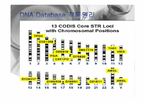 [mis] DNA Database 레포트-15